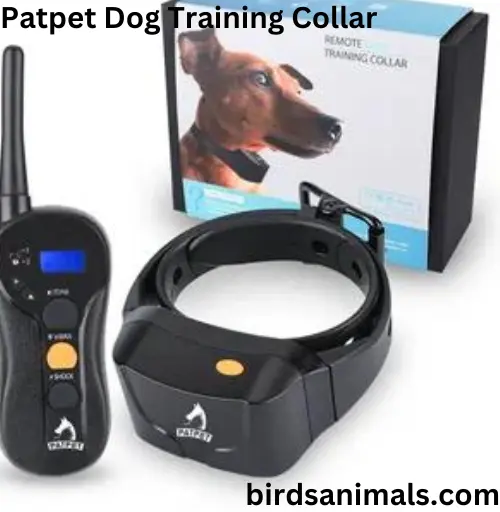 Patpet Dog Training Collar Manual