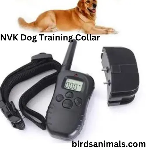 NVK Dog Training Collar