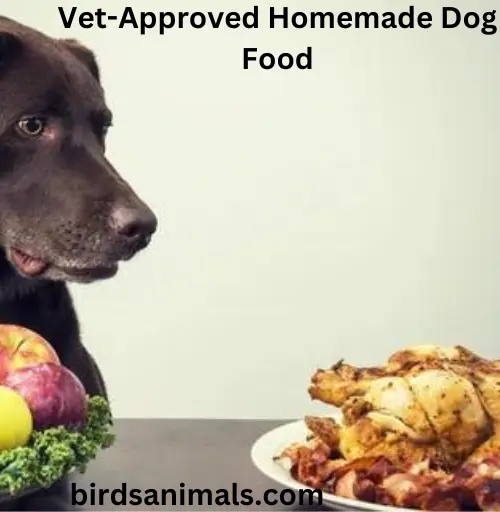 Vet-Approved Homemade Dog Food