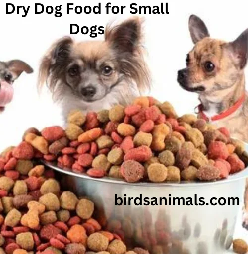 Dry Dog Food for Small Dogs