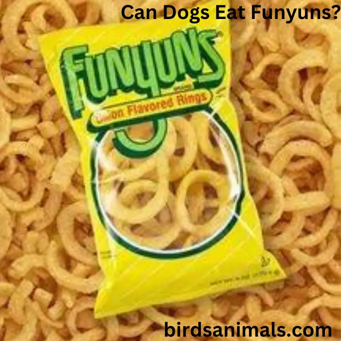 Can Dogs Eat Funyuns