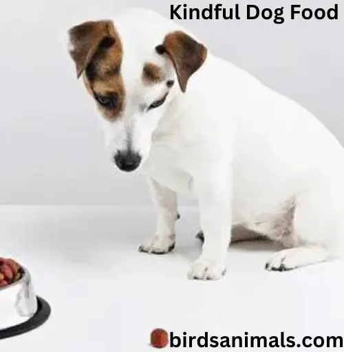 Kindful Dog Food