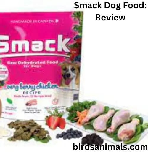 Smack Dog Food