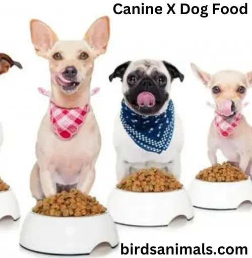 Canine X Dog Food