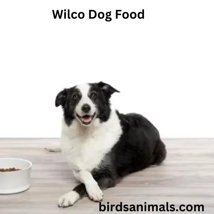 Wilco Dog Food