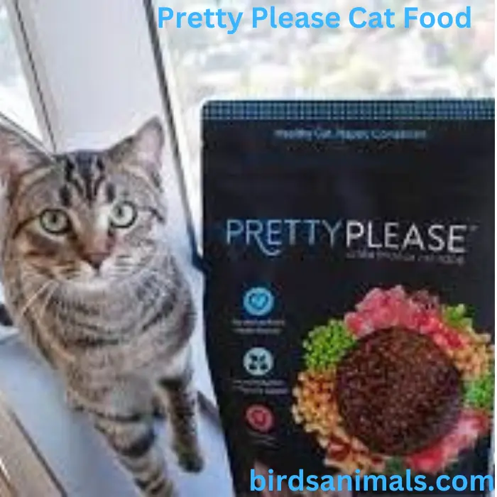 Pretty Please Cat Food