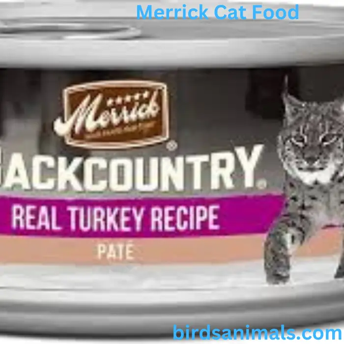 Merrick Cat Food