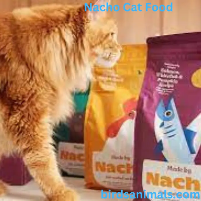 Nacho Cat Food