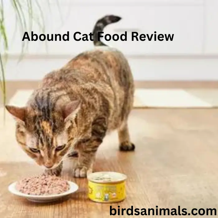 Abound Cat Food