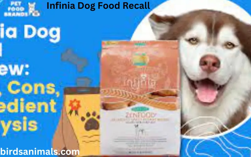 Infinia Dog Food Recall