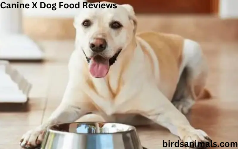 Canine X Dog Food Reviews